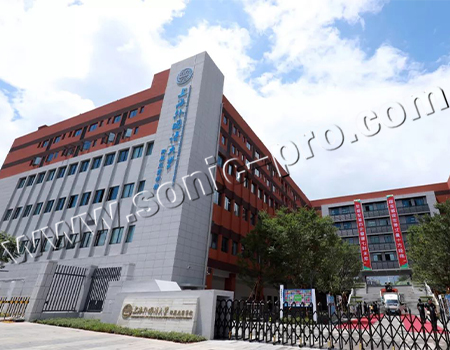 上海外国语大学附属龙岗学校阶梯教室