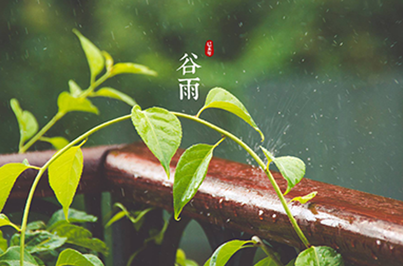 江苏谷雨时节丨万物生长