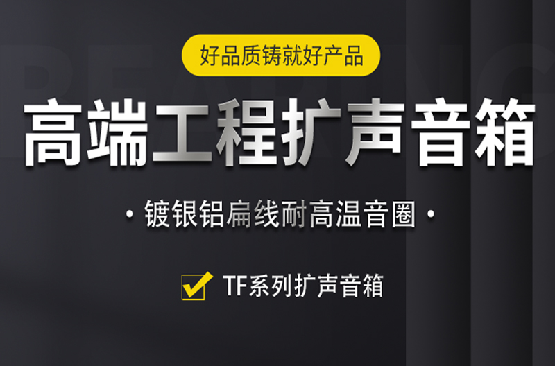 江苏TF系列高端工程扩声系列音箱