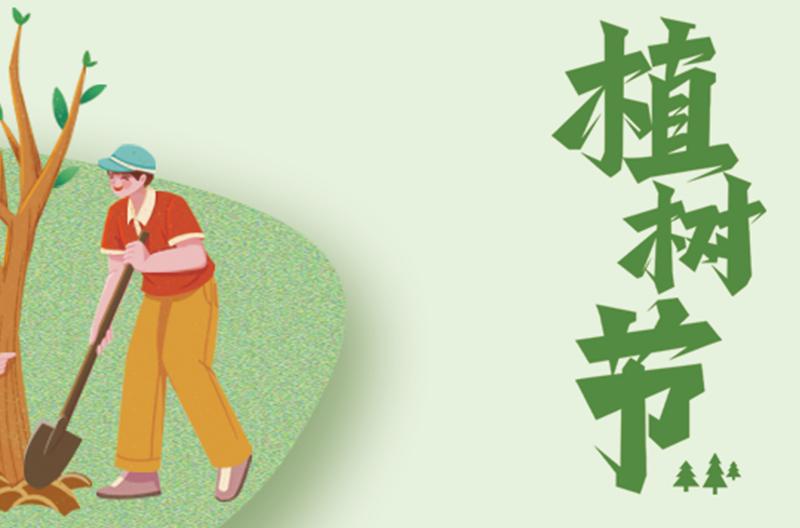 江苏3.12植树节|栽种生命的绿意，点亮自然的微光